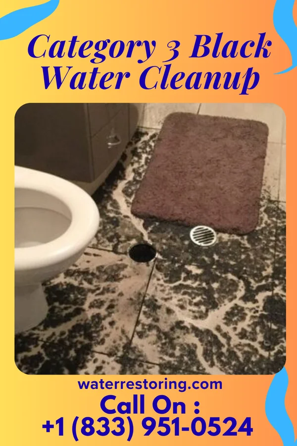 Category 3 Black Water Cleanup in Colonial Park, PA