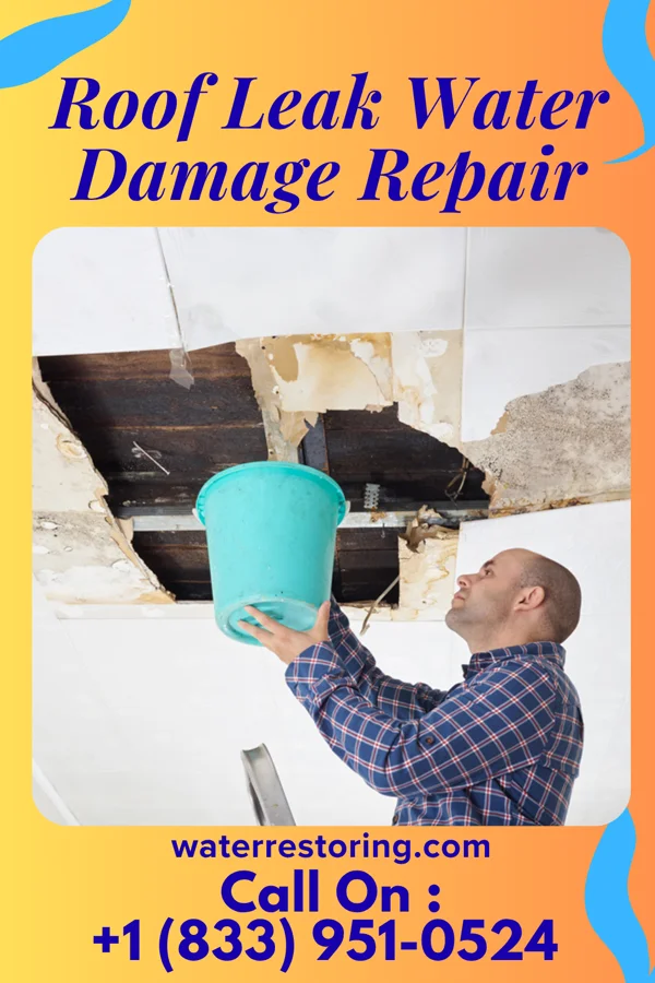 Roof Leak Water Damage Repair in Colonial Park, PA
