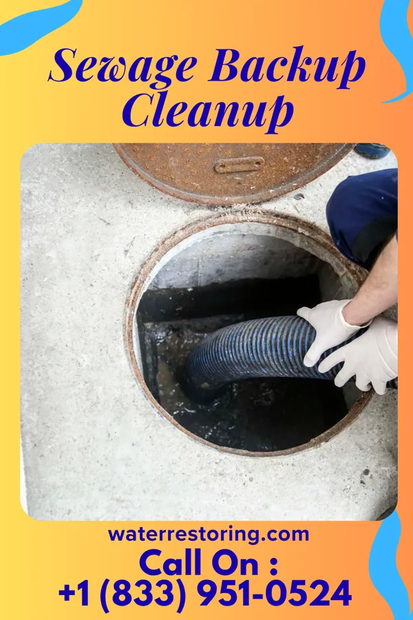 Sewage Backup Cleanup in Colonial Park, PA