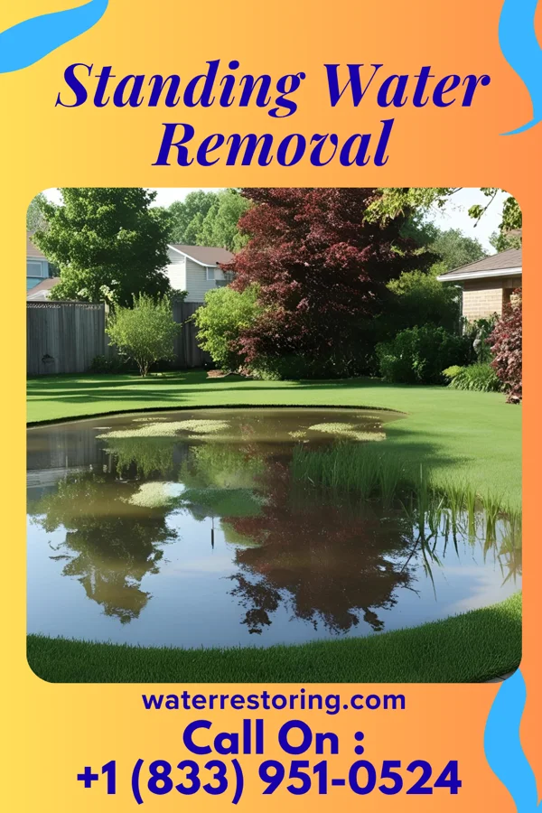 Standing Water Removal in Colonial Park, PA